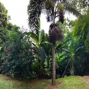 Apartment La Nature, Au Cap